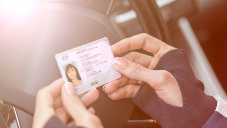 woman holding a driver's license